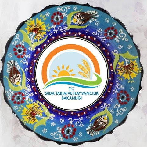 Zarif 25 cm resim tabak